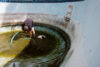 Dean Dickinson Pool-Article 1 LF