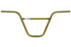 Elevenz Trans Gold