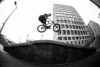 Fathead Interview 2017 Barspin