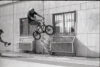 GONZALEZ BMX 90EASTPP BOSTON TRNSFR BT