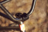 Jonny Bike Checl 3