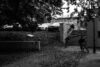Kert Nollie Wall Copy