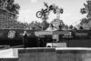 Mchael Mogollon Mexico 2019 Rob Dolecki 0029