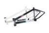 Sunday 2020 Pb1 Nightshift Frame Group 1 Web