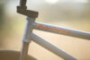 Sergio Layos Fly Setups Dig Bmx Frame Graphic