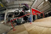 animal 5050 BMXAlexAvilla1 cm