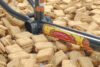 Biscuitsidefront