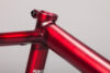 Bsd Feature Frame Freedom 2019 Flattransred 010