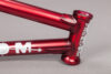 Bsd Feature Frame Freedom 2019 Flattransred 011