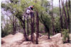 Dig Ten Riders Bmx Groundchuck Push 96 Big Jr