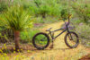 Rubio Bike Img 8650