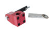 Stsm Redshaftedneck