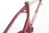 Tempered 2017 Frame Detail Seatstay Brace Red Copy