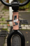 Artur Meister Bike Check 11