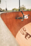 Dig Clnytrip18
