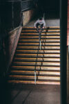 Dylan Steinhardt Lc Photo 15 Railride 1
