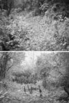 Trails Prague 4