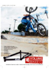 Brian Whip 03