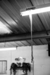 Doomed Img 0120