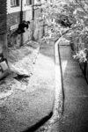 Wallride River Fathead Interview 2017