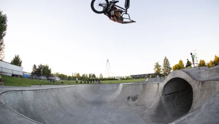 Fast  Loose Pollard Table 1