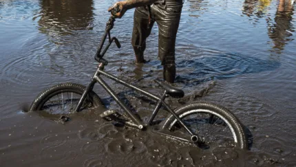 Swampfest 2019 65