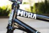 Dan Kruk Steups Digbmx Wm 11
