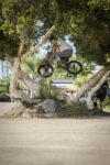 Jeff Wescott X Dig San Diego Tree 180 Wm 1