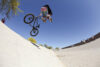 joey calderone ds whip