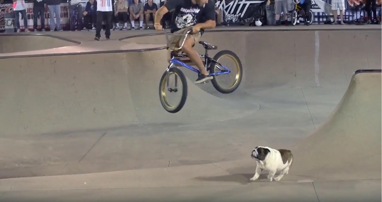 The Awesome Florida BMX Series Orlando Highlights DIG BMX
