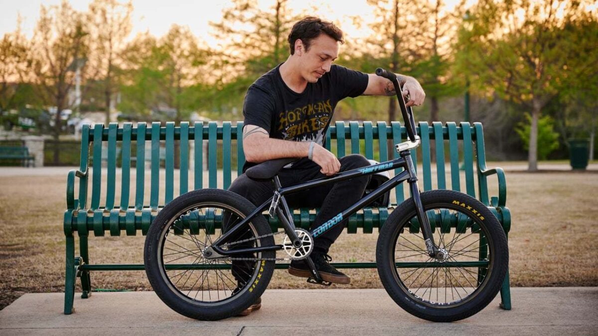 tazz-condor-frame.jpg