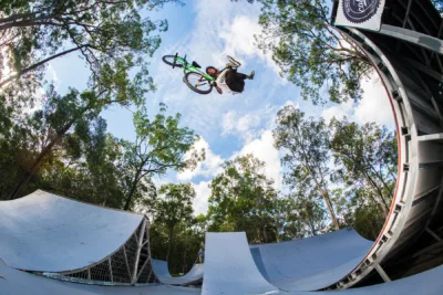 Alex Whip Transfer1