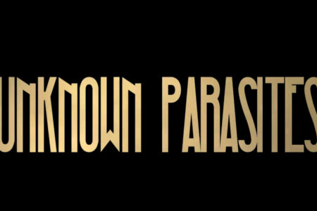 unknown parasites leftovers