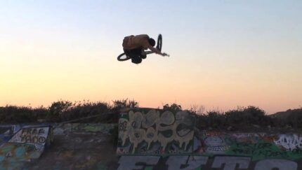 718 Santa Cruz Bmx Full Legnth