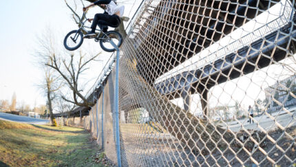 Raph Tree Fence Hop Photo Mortiz Nussbaumer