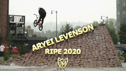 Aryei Lev 2020