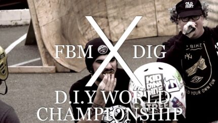 Diy World Champs And Corgi