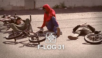 Flog 31