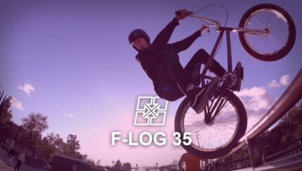 Flog 35