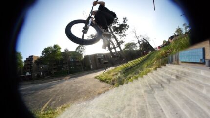 Tallboy 2 2019