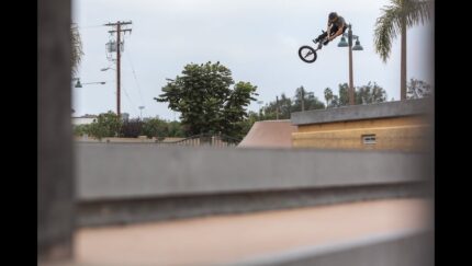 Tyler Paradise Line Promo