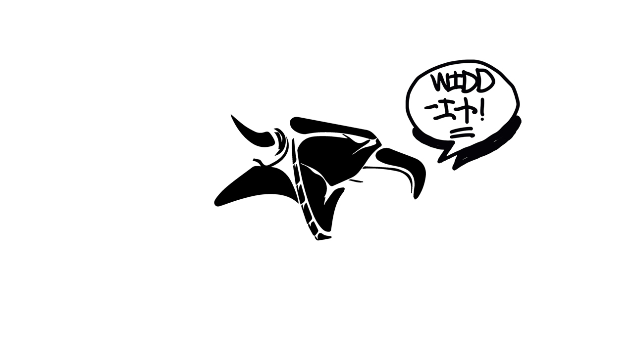 ANIMAL BIKES 'WIDDIT' DVD PREMIERE DIG BMX