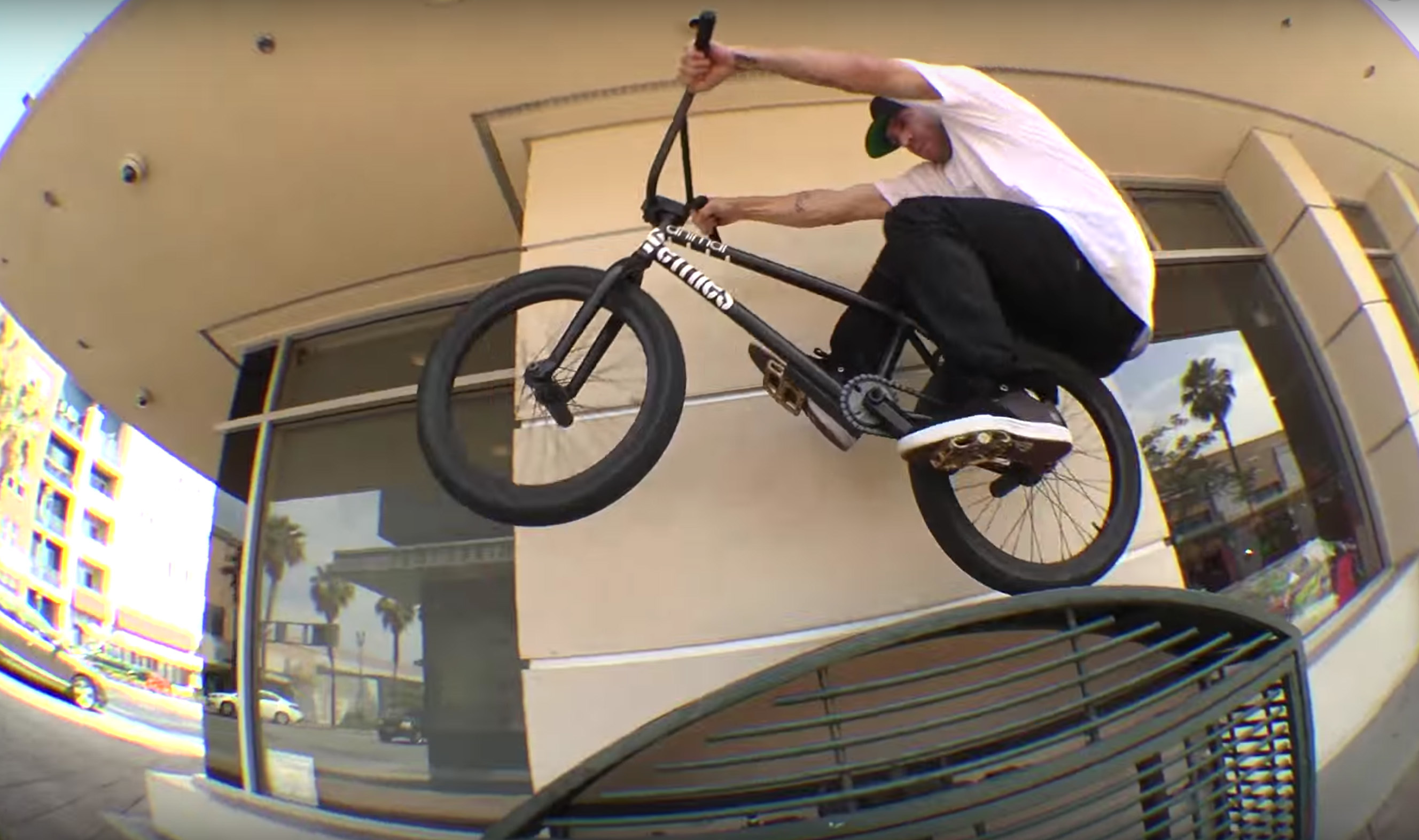 Chase Dehart Ride BMX x Cult DIG BMX