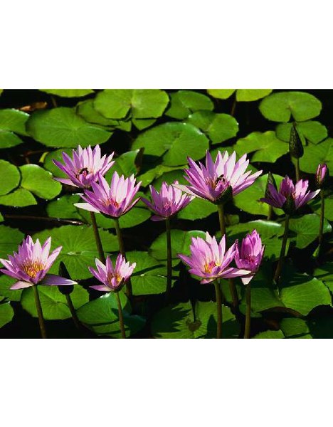 Dr. med. Christoph Gersing