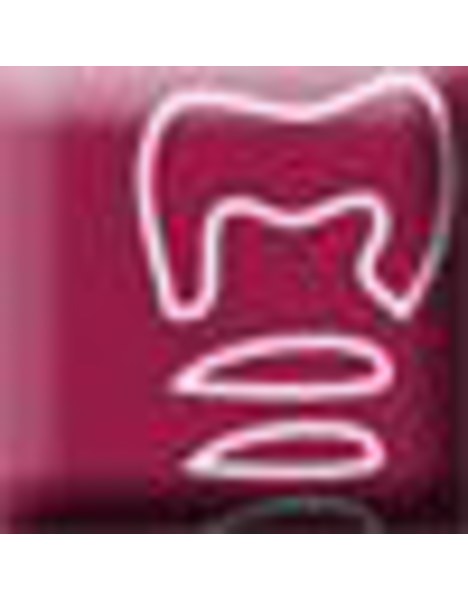 Dr. med. dent. Johann Rauch