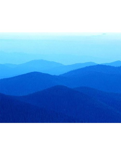 Farschad Tavassoli Asly