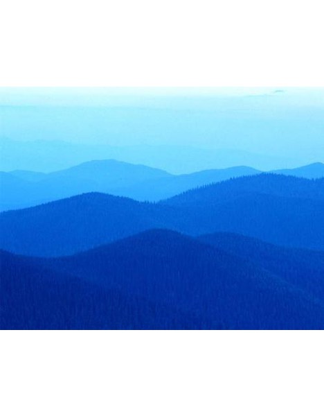 Christiane Baumhardt