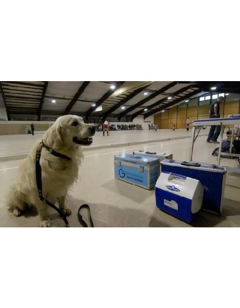 Dr. med. Jochen Marks