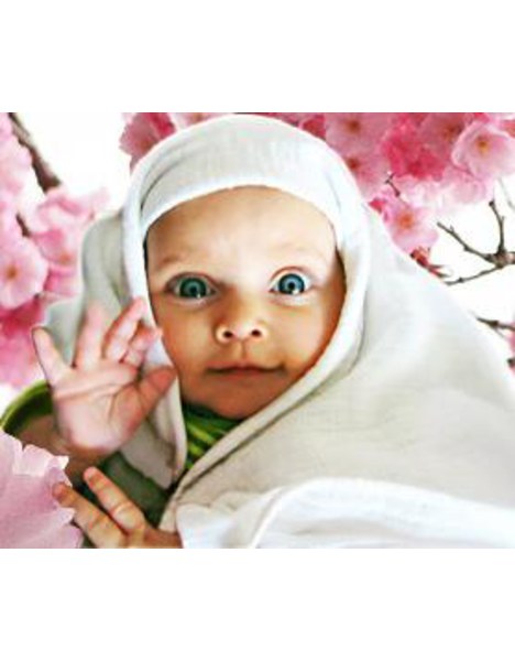 Stephanie G. Hendrikoff