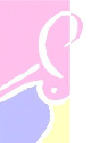 Dr. med. Ulrike Pöschl